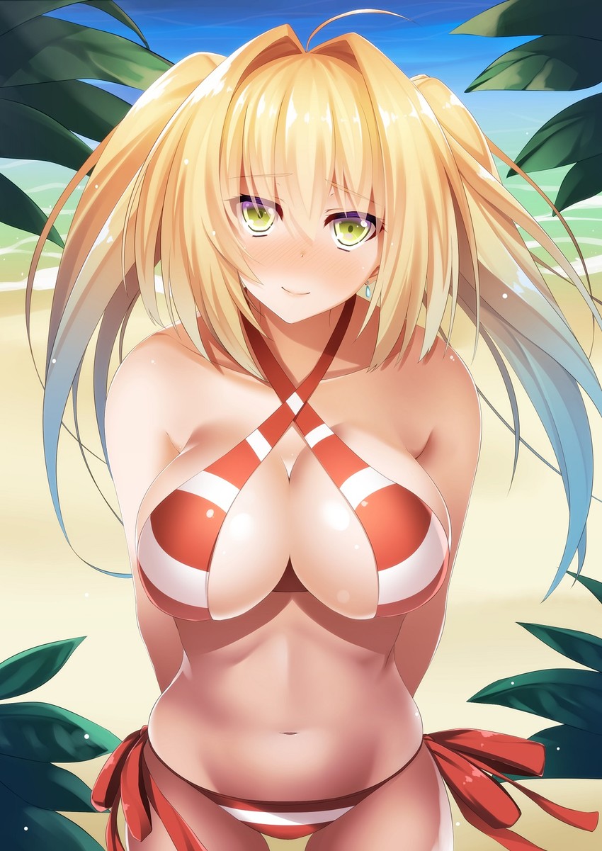 nero claudius (fate and 1 more) drawn by asakura_kukuri