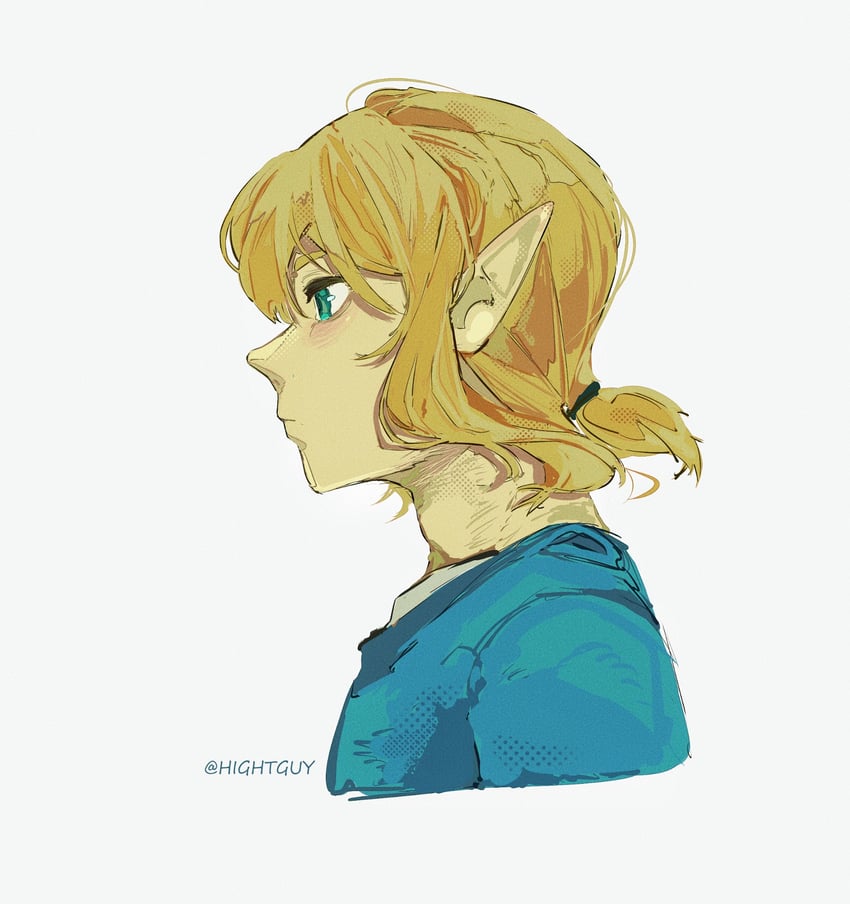 link (the legend of zelda and 1 more) drawn by hightguy