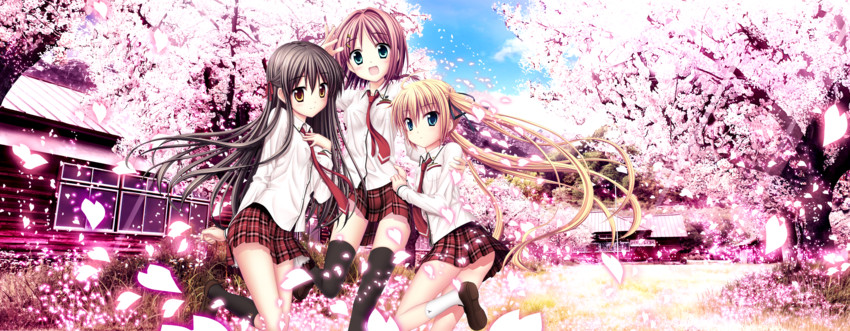 minato miu, kanasuma miyako, and haruno tsubame (sakura sakimashita) drawn by akizuki_tsukasa