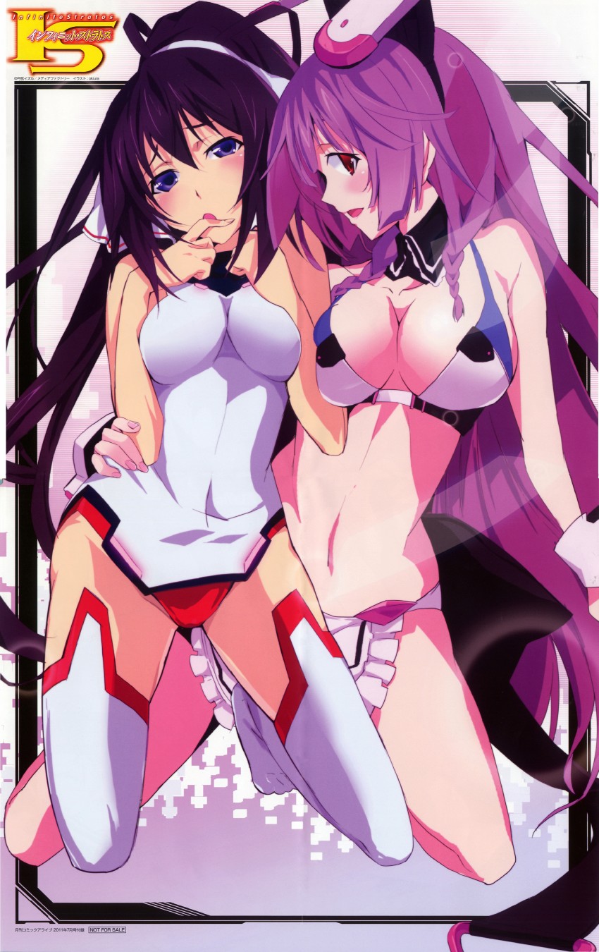 shinonono houki and shinonono tabane (infinite stratos) drawn by okiura