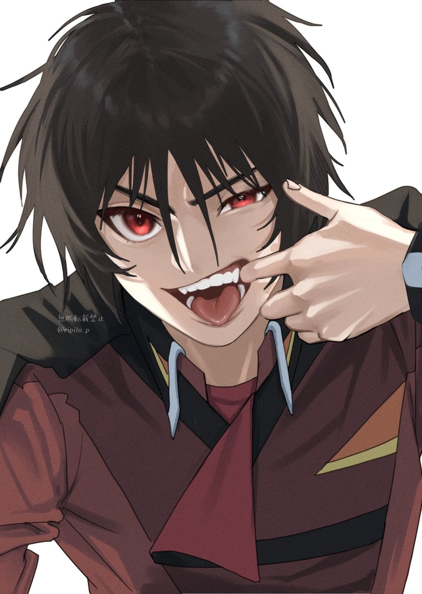shinn asuka (gundam and 3 more) drawn by ripito_p