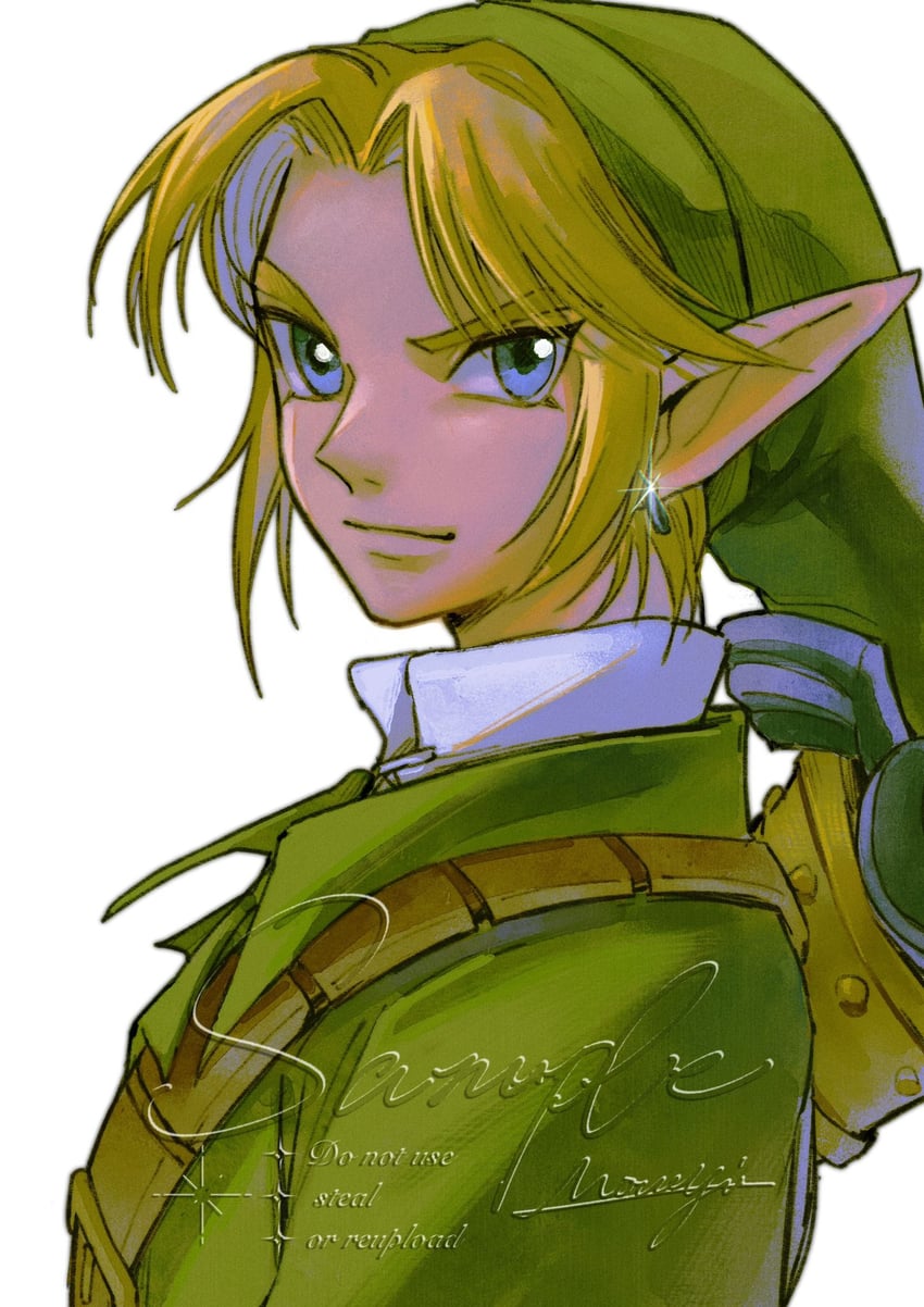 link (the legend of zelda and 1 more) drawn by mouyi