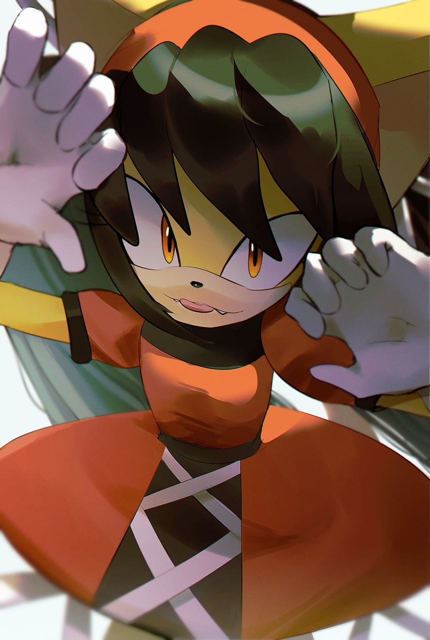 honey the cat (sonic and 2 more) drawn by jaibus