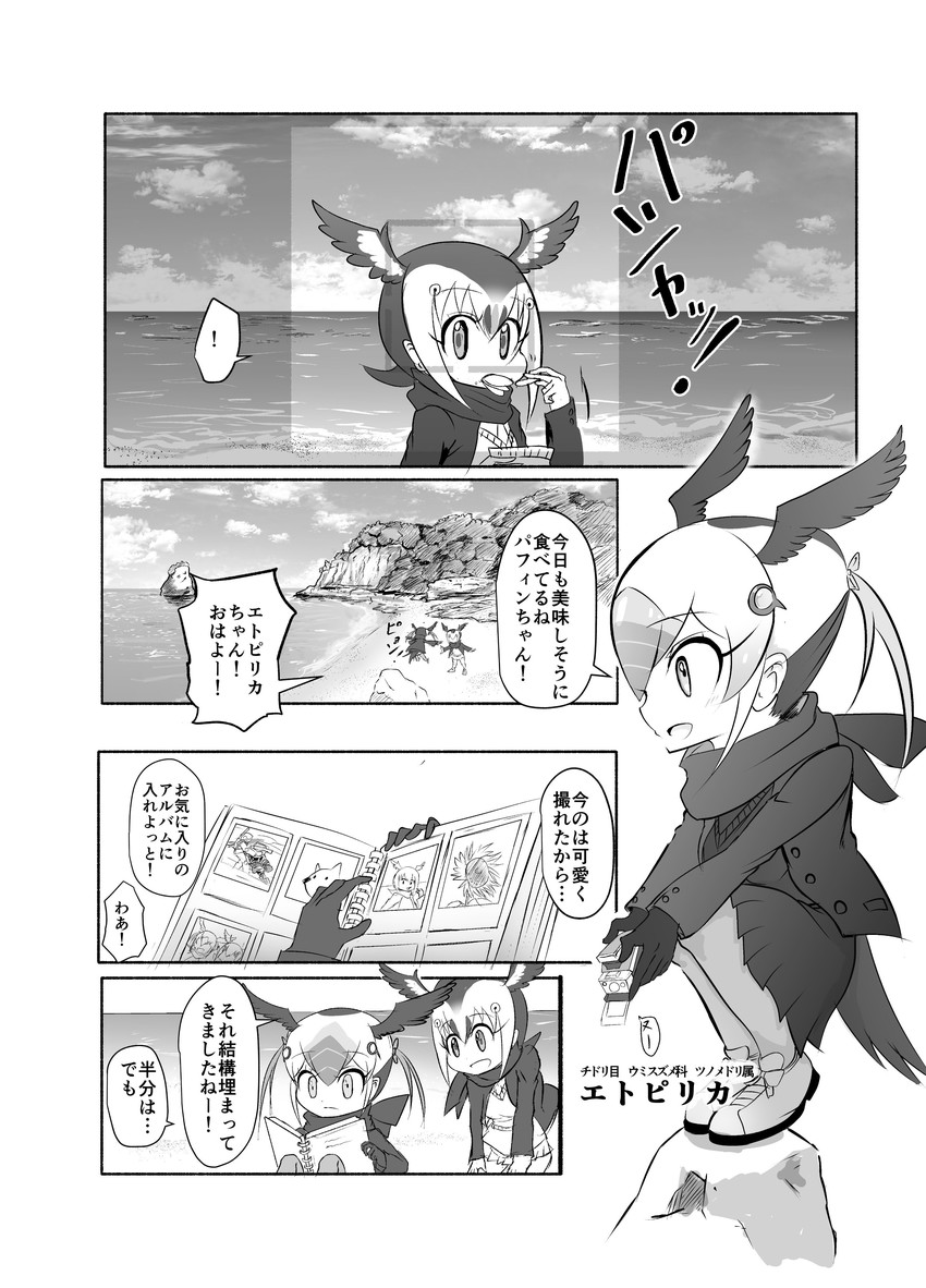 atlantic puffin and tufted puffin (kemono friends) drawn by fuji_takanasu