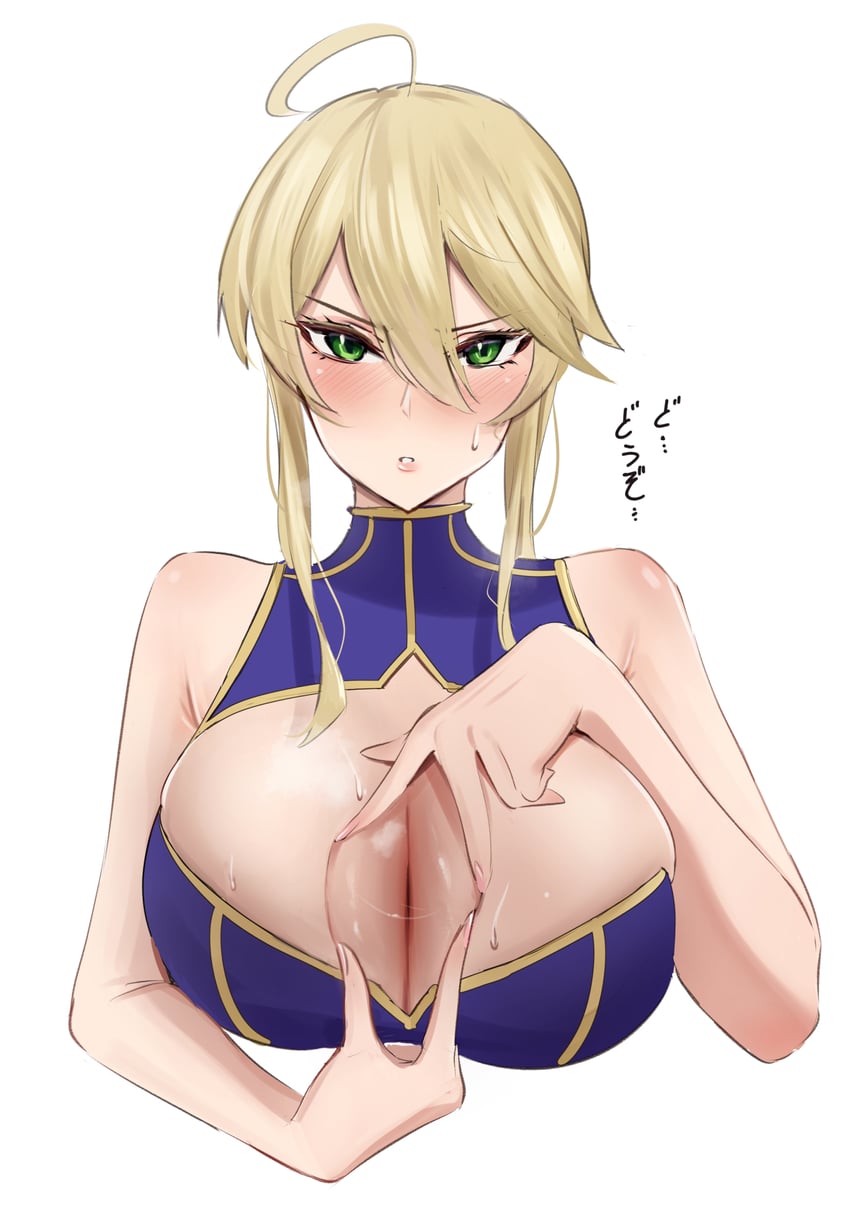 artoria pendragon (fate and 1 more) drawn by chinetsu15
