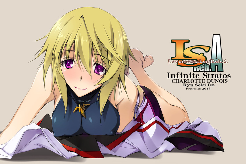 Charlotte Dunois Infinite Stratos Drawn By Nagare Hyougo