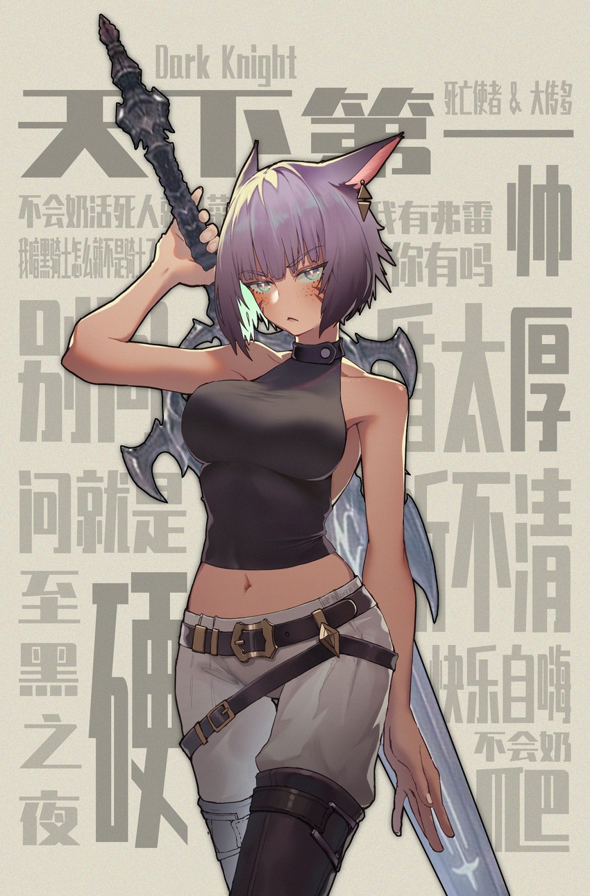 warrior of light and dark knight (final fantasy and 1 more) drawn by p99_(1shtar)