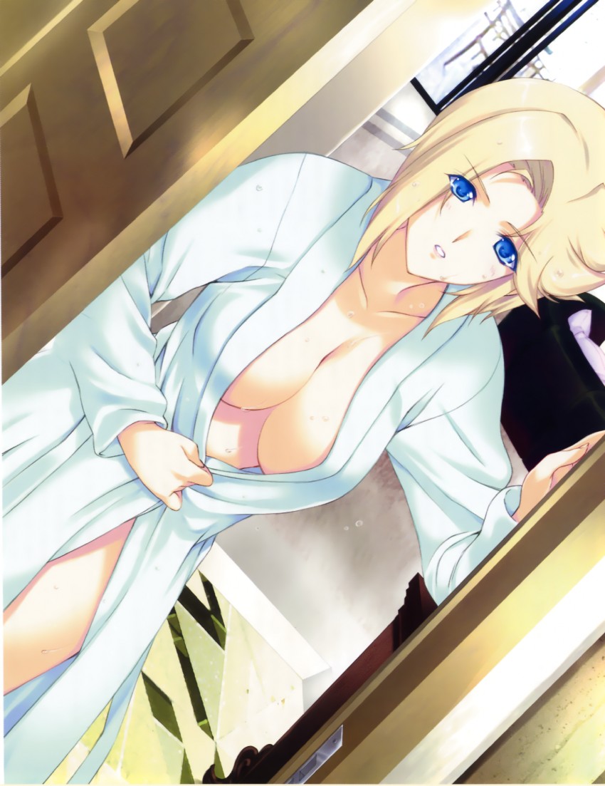 stella bremer (muv-luv and 2 more) drawn by iizuki_tasuku