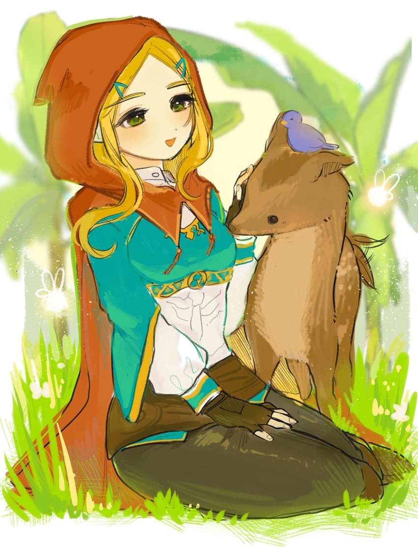 princess zelda (the legend of zelda and 1 more) drawn by shanodesu