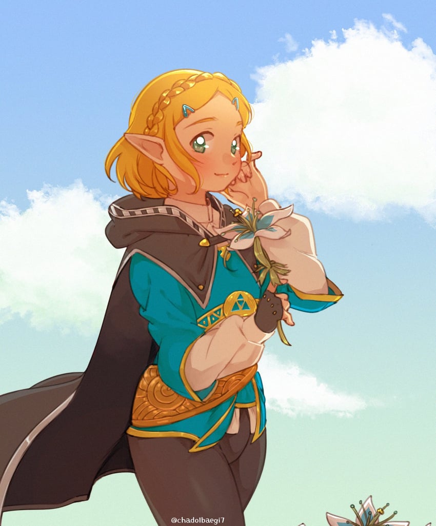 princess zelda (the legend of zelda and 1 more) drawn by chadolbaegi