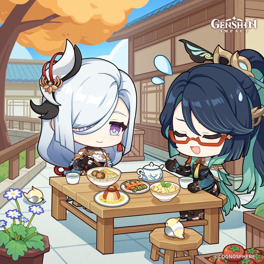shenhe and xianyun (genshin impact)