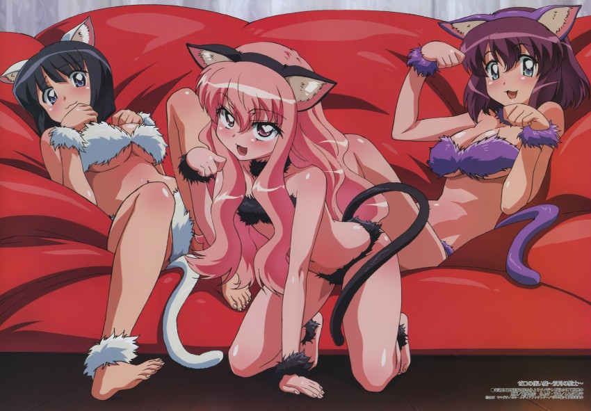 louise francoise le blanc de la valliere, siesta, and henrietta de tristain (megami magazine and 1 more) drawn by fujii_masahiro