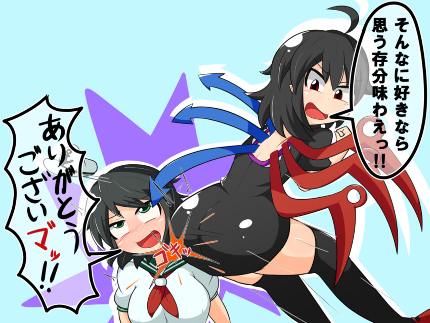 houjuu nue and murasa minamitsu (touhou) drawn by manorea