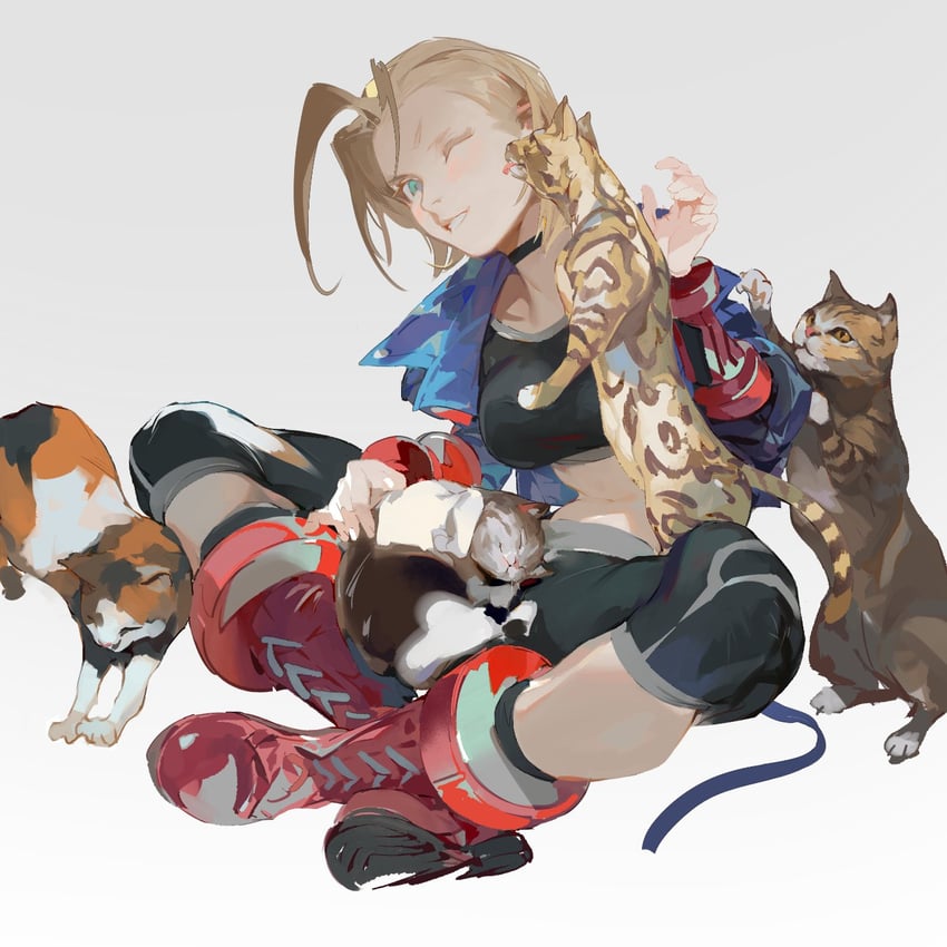 cammy white (street fighter and 1 more) drawn by lucaxu1991