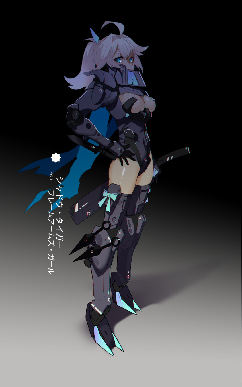 baihu and shadow tiger (frame arms girl and 1 more) drawn by realmbw