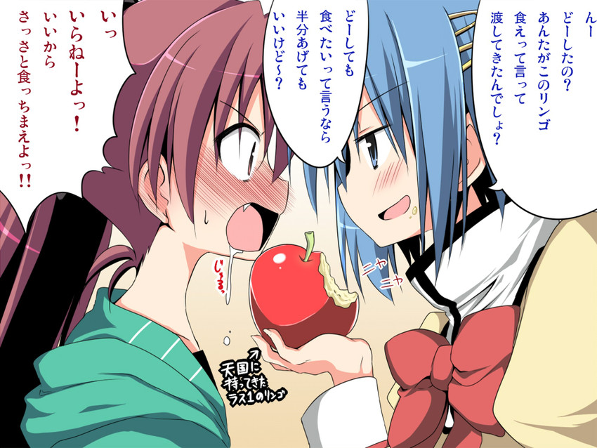 miki sayaka and sakura kyoko (mahou shoujo madoka magica) drawn by akane_souichi