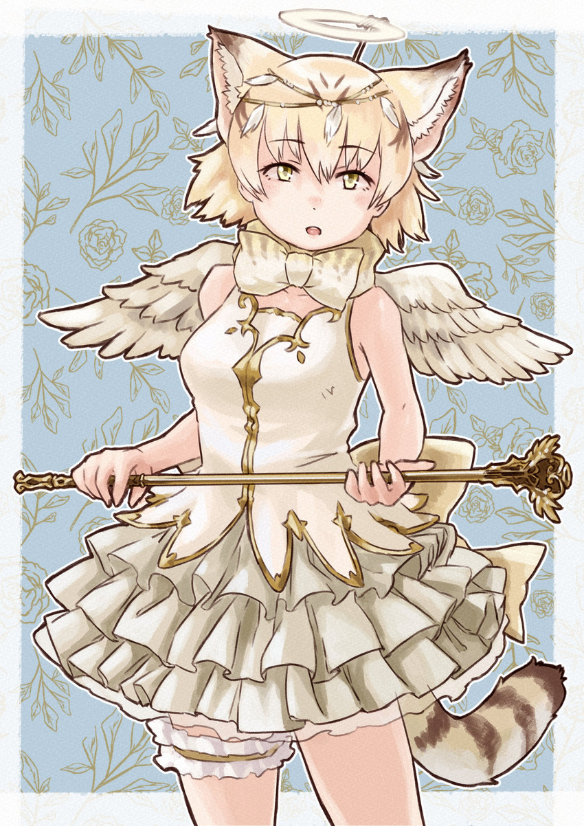 sand cat (kemono friends and 1 more) drawn by toriny