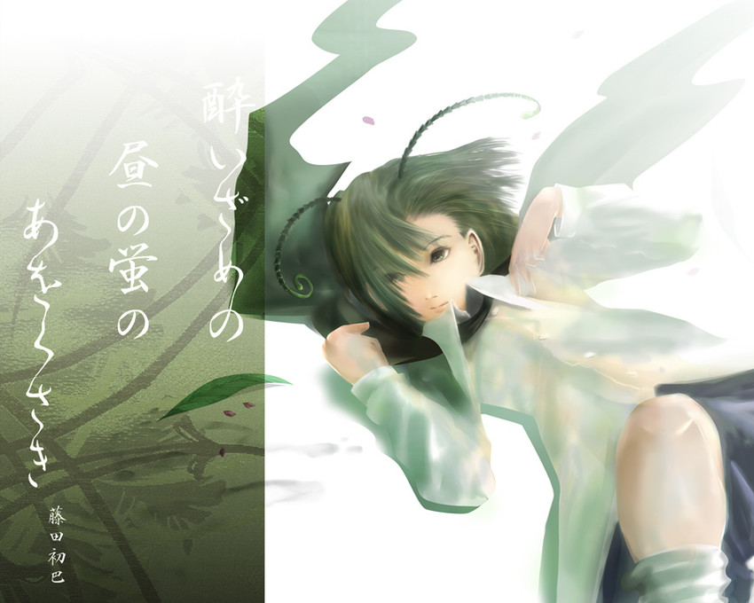 wriggle nightbug (touhou) drawn by aojiru_(shiro_to_kuro_no_mukyou)