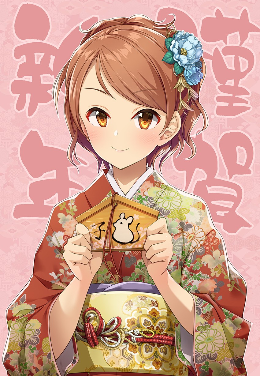 hojo karen (idolmaster and 1 more) drawn by mk_(mod0)