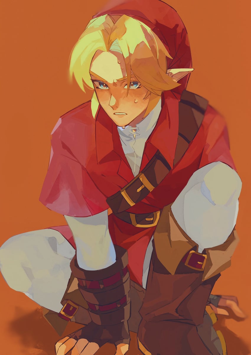 link (the legend of zelda and 1 more) drawn by pisu_1107