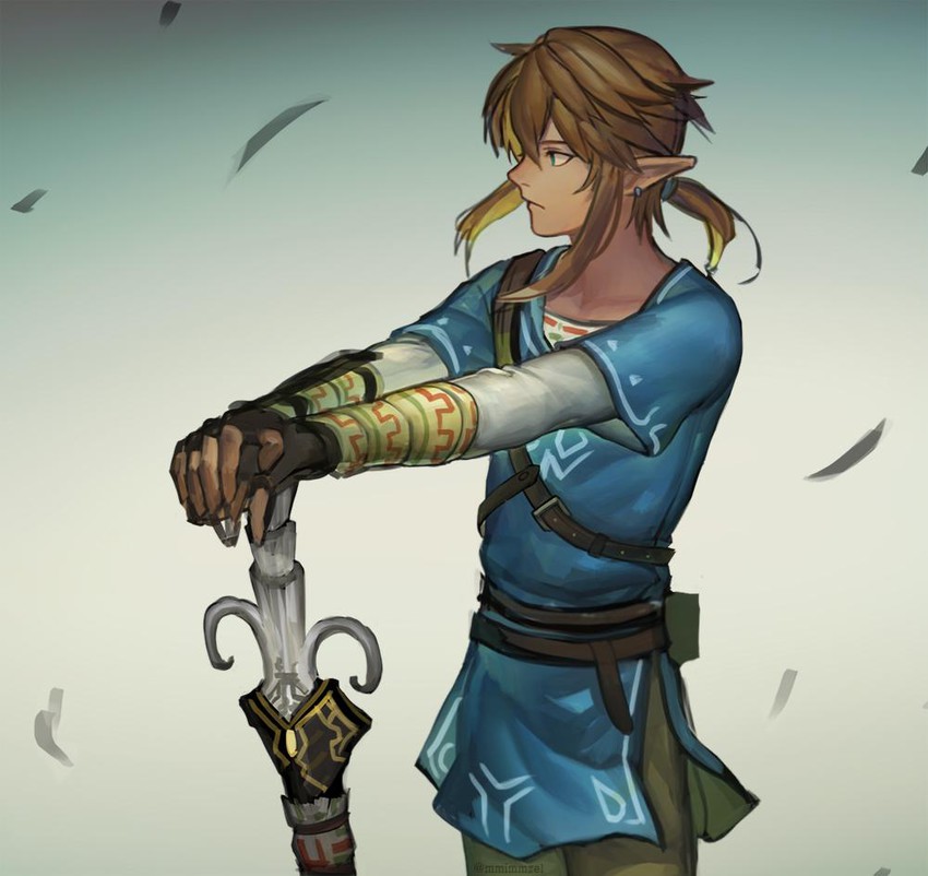 link (the legend of zelda and 2 more) drawn by mimme_(haenakk7)