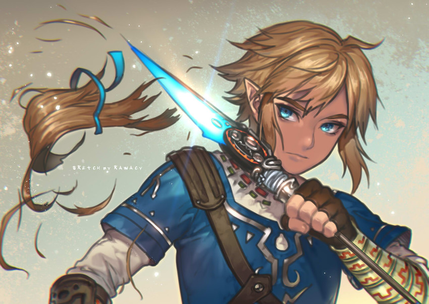 link (the legend of zelda and 1 more) drawn by kawacy