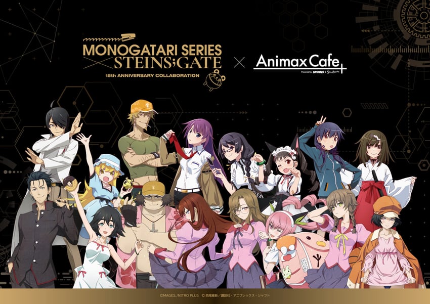 oshino shinobu, makise kurisu, senjougahara hitagi, hanekawa tsubasa, sengoku nadeko, and 11 more (monogatari and 1 more)