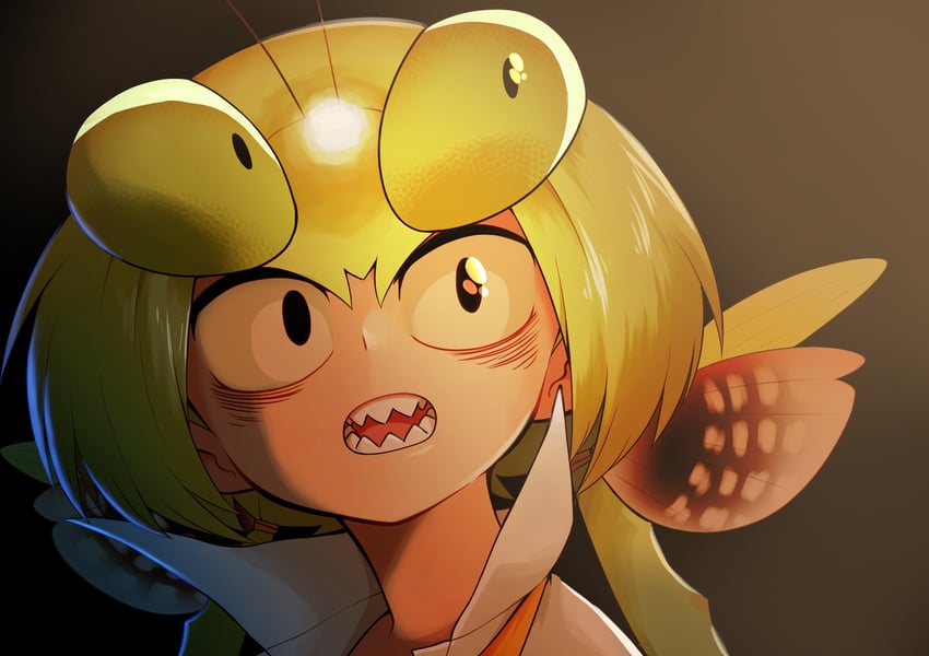 mantis akiyama (original and 2 more) drawn by evolvingmonkey
