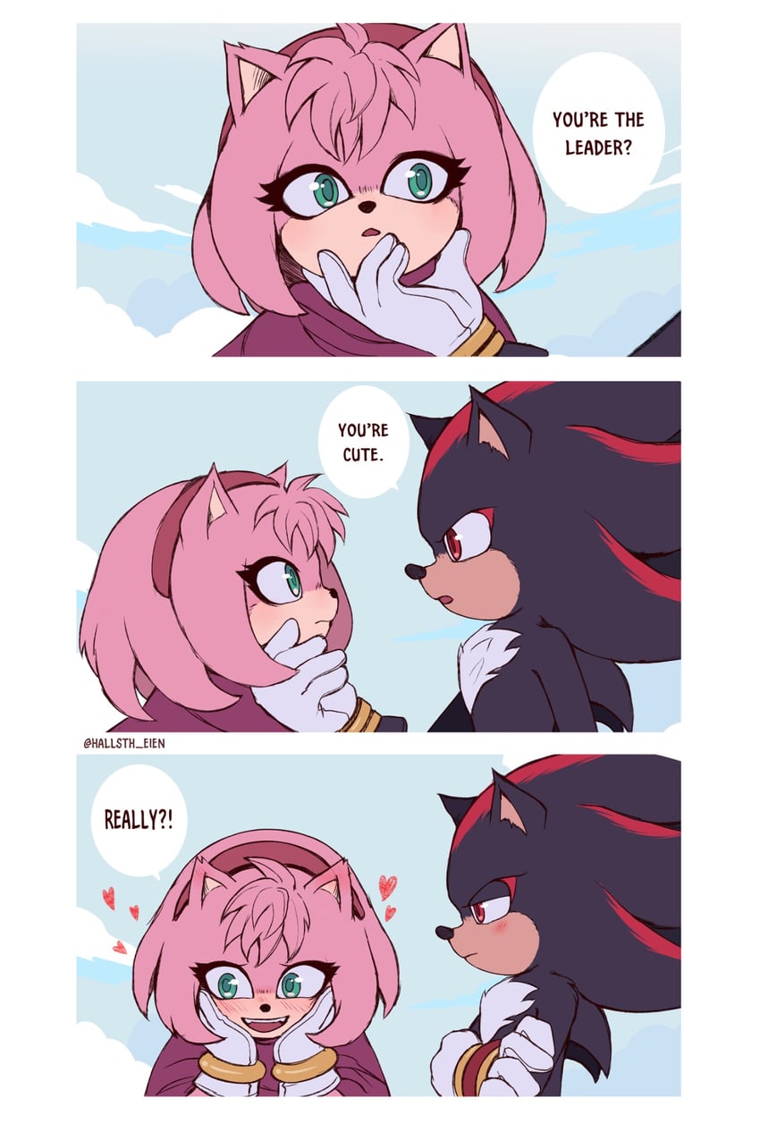 shadow the hedgehog and amy rose (sonic) drawn by hallsth-eien