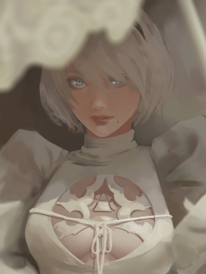 2b (nier and 1 more) drawn by dana_(ocana_dana)