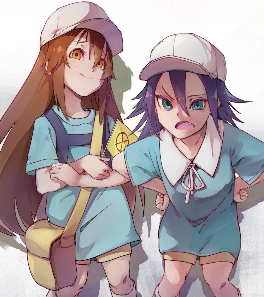 platelet and platelet leader (hataraku saibou and 1 more) drawn by rakaiki