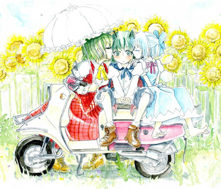 cirno, kazami yuuka, and wriggle nightbug (touhou) drawn by master_(4th)