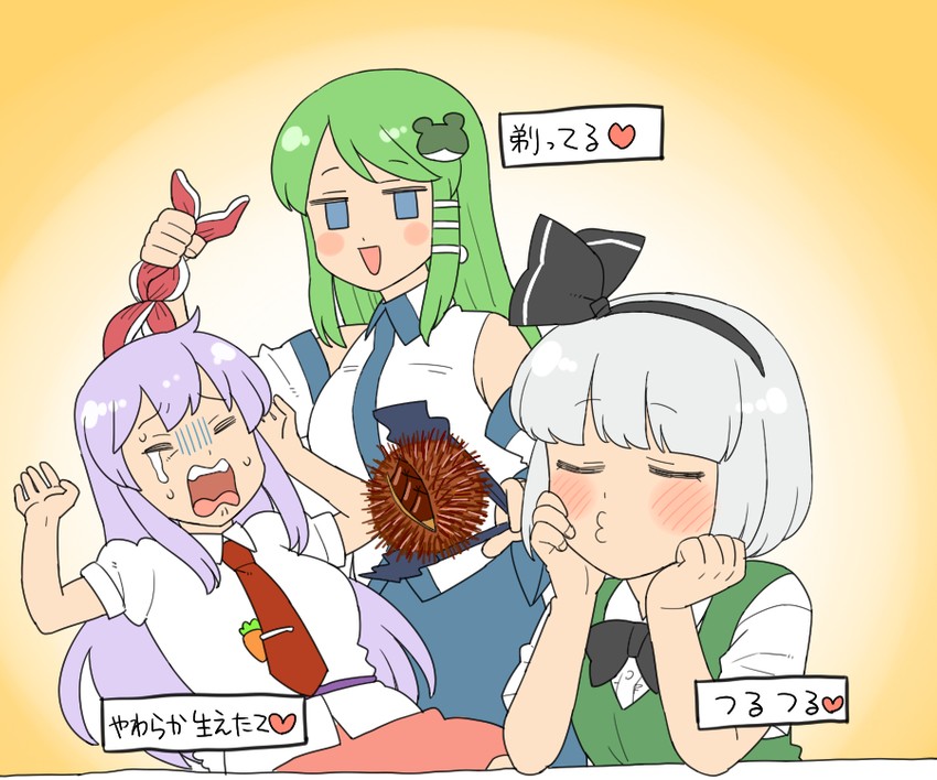 kochiya sanae, konpaku youmu, and reisen udongein inaba (touhou) drawn by koyama_shigeru
