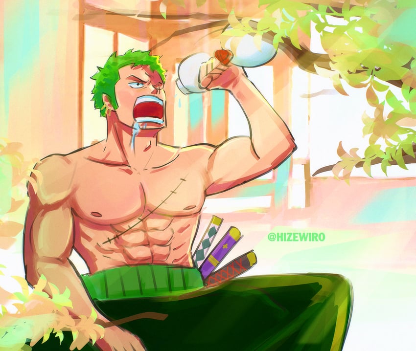 roronoa zoro (one piece) drawn by wize_(hizewiro)