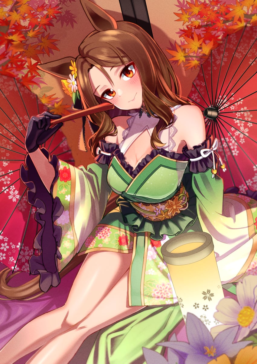 king halo and gold city (umamusume) drawn by freely2327