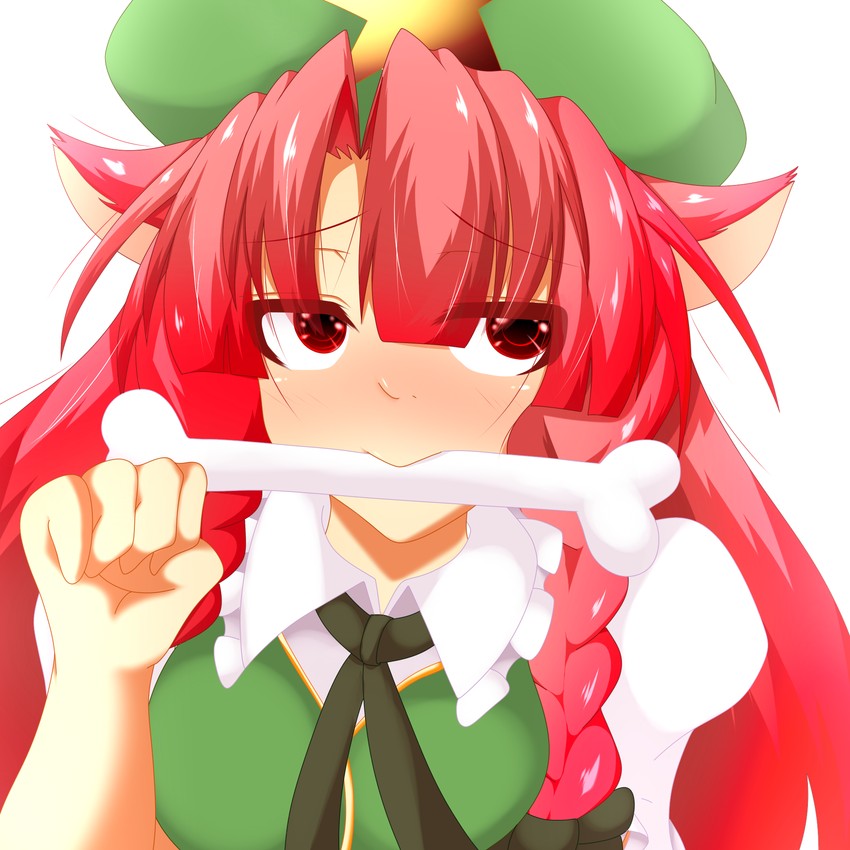 hong meiling (touhou) drawn by muumuu_(sirufuruteienn)
