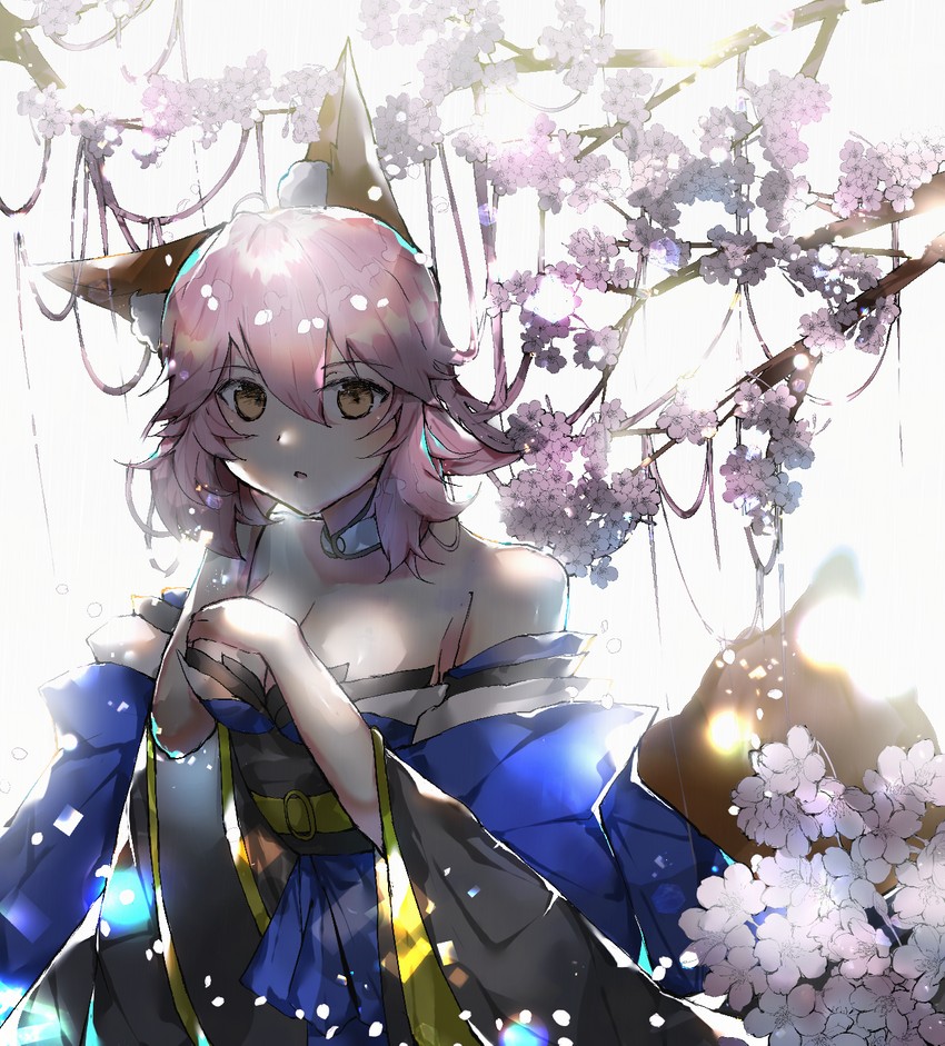 tamamo and tamamo no mae (fate and 3 more) drawn by saimikanewokaku