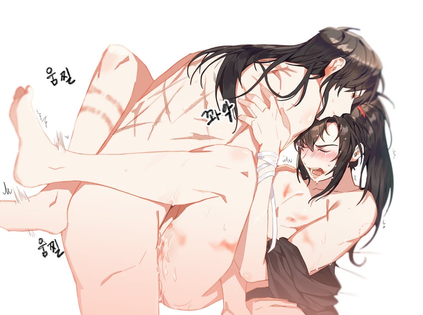 wei wuxian and lan wangji (modao zushi) drawn by jujeop