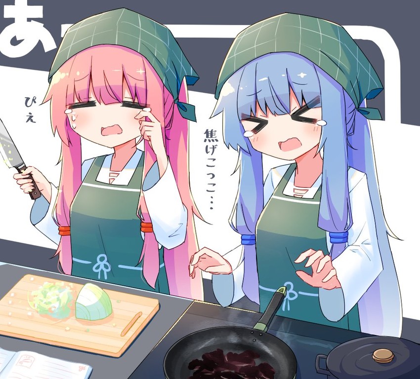 kotonoha akane and kotonoha aoi (voiceroid) drawn by hibino_000