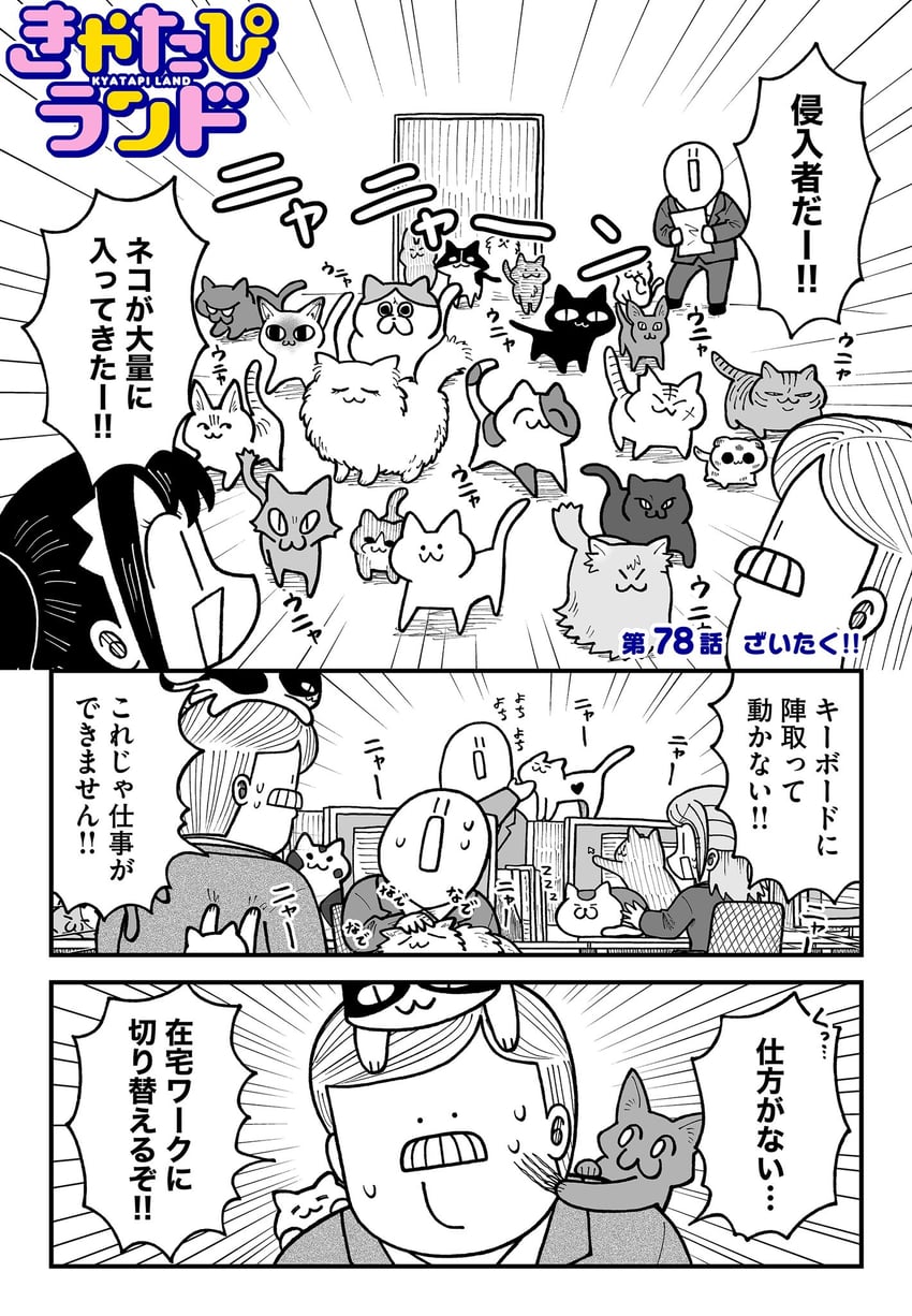 seina, narita, and mr. sutegoro (kyatapi land) drawn by kyata_ti666