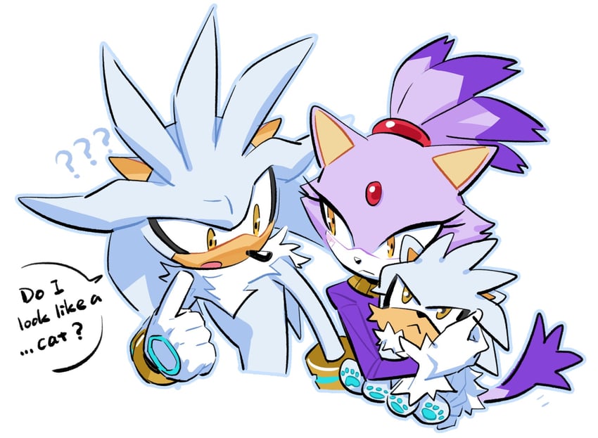 blaze the cat and silver the hedgehog (sonic) drawn by miijiu