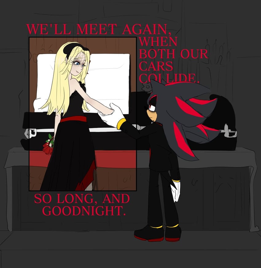 shadow the hedgehog and maria robotnik (sonic and 2 more) drawn by ssanaaloves