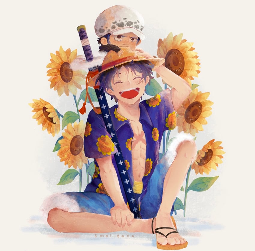 monkey d. luffy and trafalgar law (one piece) drawn by smolkeii