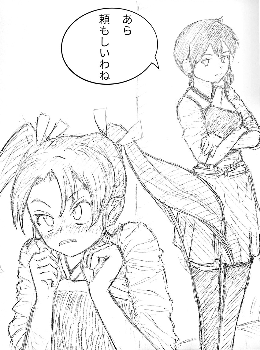 kaga and zuikaku (kantai collection) drawn by sabeshi