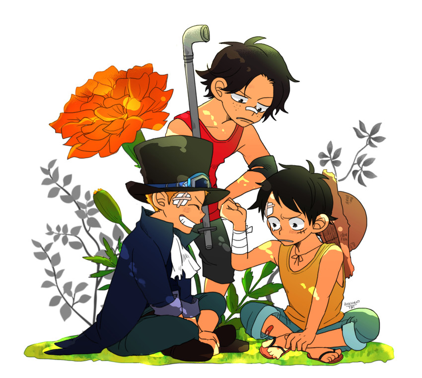 monkey d. luffy, portgas d. ace, and sabo (one piece) drawn by tbt