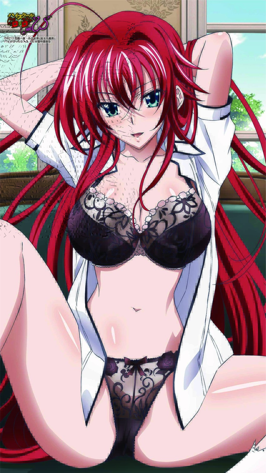 rias gremory (high school dxd and 1 more)