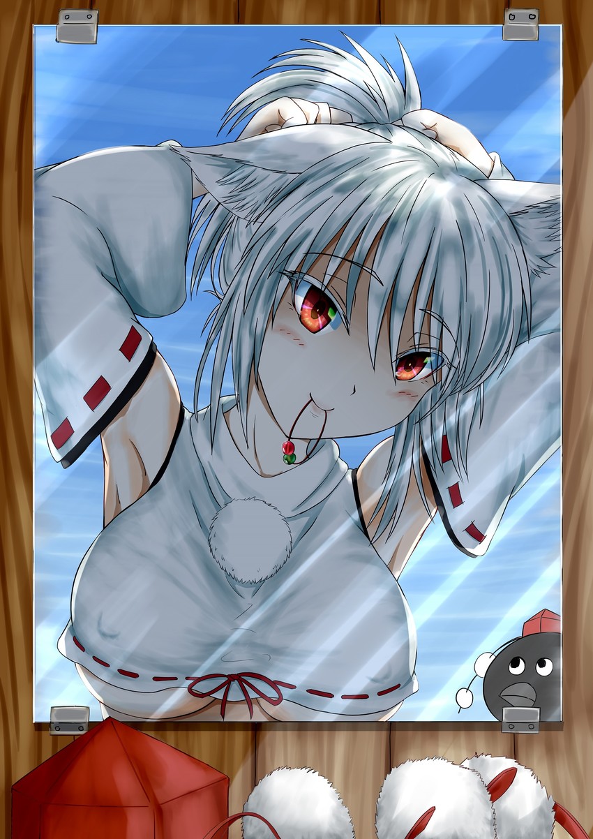 shameimaru aya and inubashiri momiji (touhou) drawn by kagami_toufu