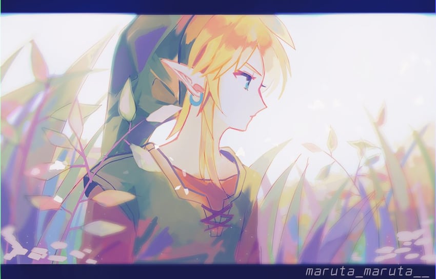 link (the legend of zelda and 1 more) drawn by maruta_maruta