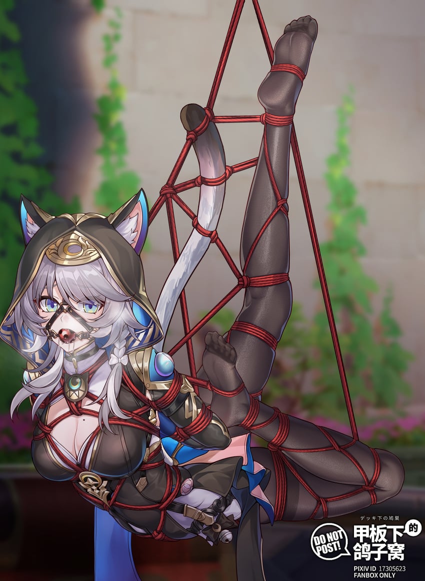 cipher (honkai and 1 more) drawn by yiduan_zhu