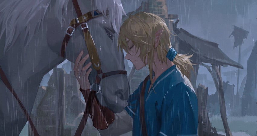link (the legend of zelda and 1 more) drawn by ruoruoqiu